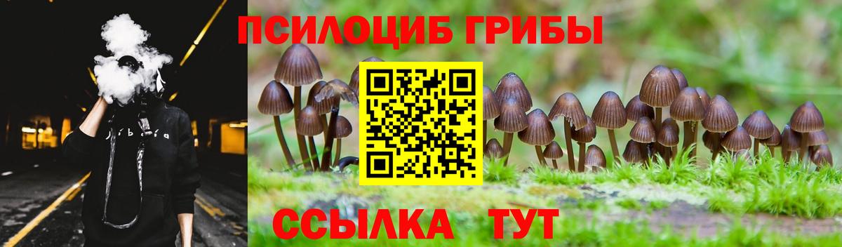 Урюпинск  Галлюциногенные грибы прущие грибы  Вход с VPN 